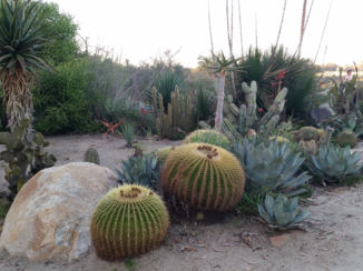 Amerika - Balboa park