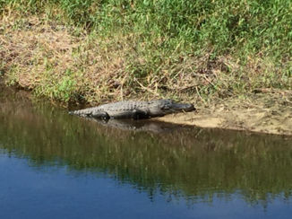Florida - Veel voorkomend plaatje