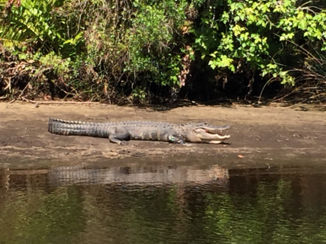 Florida - Kano tochtje