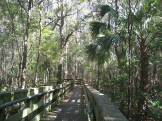 Florida - Heerlijke wandeling