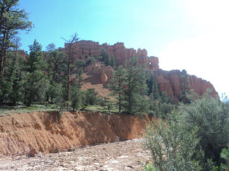 Bryce Canyon National Park - Natuur van Bryce