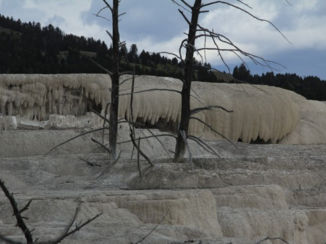 Amerika - Mammoth hotsprings yellowstone