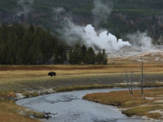 Amerika - Upper geiser basin