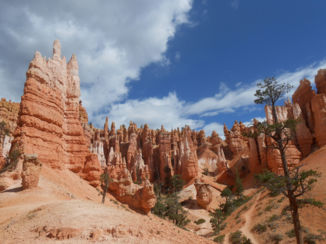 Amerika - Bryce Canyon