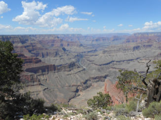 Amerika - Grand Canyon