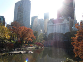 New York - Central park