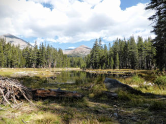 Yosemite National Park - Yosemite