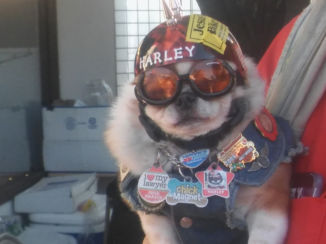 Florida - klaar voor de rit