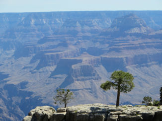 Grand Canyon National Park - Breathless