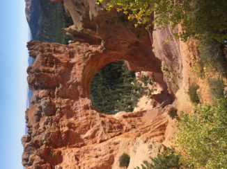 Amerika - Bryce canyon
