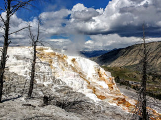 Yellowstone National Park - Mammoth Hot Springs