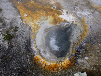 Yellowstone National Park - Geiser