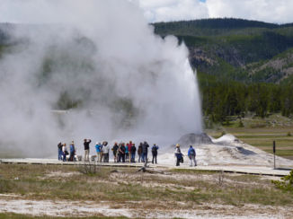 Yellowstone National Park - Geiser