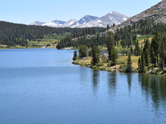 Yosemite National Park