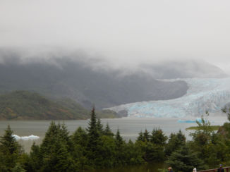 Rondreis Alaska - drijvende  ijsschotsen
