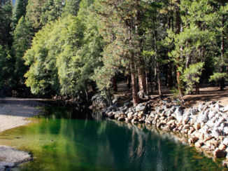 Yosemite National Park