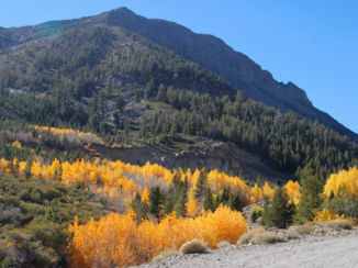 Yosemite National Park