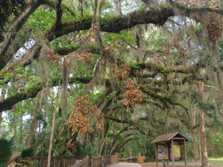 Amerika - Bleu Spring Stage Park