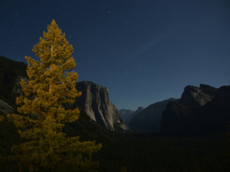 Yosemite National Park