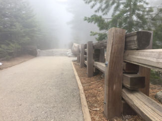 Sequoia en Kings Canyon National Park - Sequoia