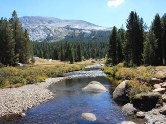 Yosemite National Park - Solitude