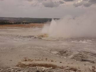 Yellowstone National Park - Norris Geyser