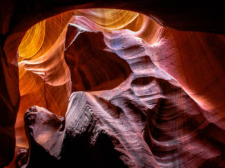 Antelope Canyon - Bear fleeing the canyon