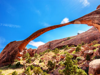 Yellowstone National Park - The Arches