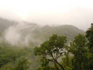 Great Smoky Mountains National Park - Great Smokey Mountains