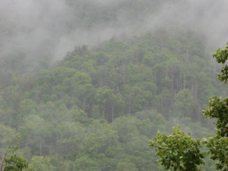 Great Smoky Mountains National Park - Great Smokey Mountains