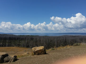Yellowstone National Park