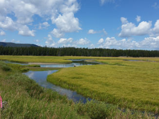 Yellowstone National Park