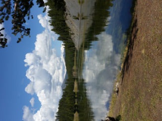 Yellowstone National Park