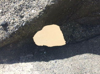 Laguna beach en Manhattan beach - Nature