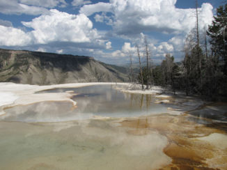 Yellowstone National Park - Mammoth Hot Springs