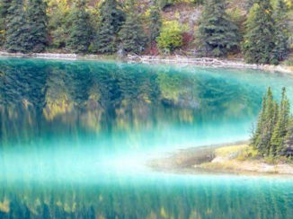 Denali National Park - Alaska