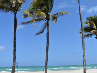 Florida - Beach life