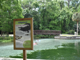 Florida - Zin om te zwemmen?