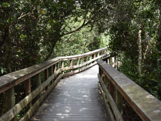 Florida - Brug naar het onbekende