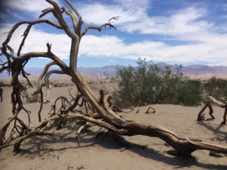 Death Valley National Park - Dor en droog