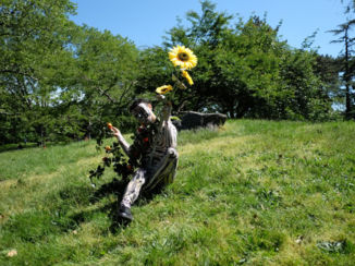 New York - Central Park