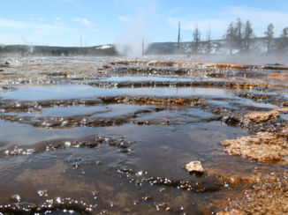Yellowstone National Park - Mother earth