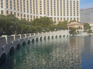 Las Vegas - bellagio las vegas