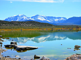 Amerika - Mono Lake