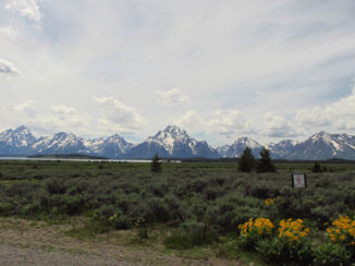 Grand Teton National Park - Schitterende uitzichten