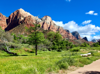 Zion National Park - Zion national park