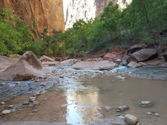 Zion National Park - Schaduw