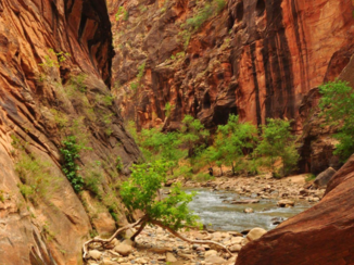 Zion National Park - The Narrows