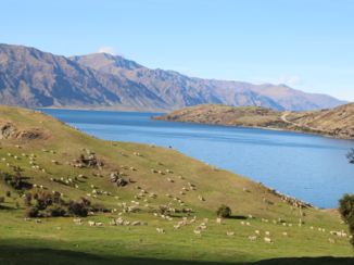 Travel Essence - Op het Zuider eiland, Nieuw-Zeeland
