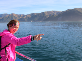 Travel Essence - Overtocht van Zuidereiland naar Noordereiland